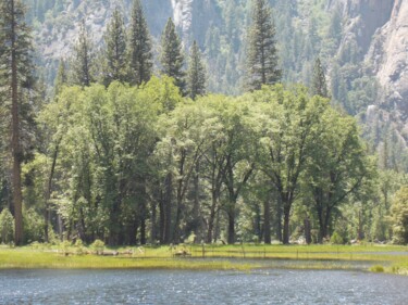 Photographie intitulée "Yosemite Zen 2" par Troy Wilson-Ripsom, Œuvre d'art originale, Photographie numérique
