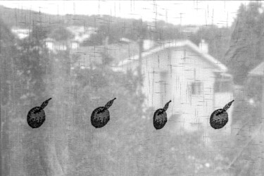 摄影 标题为“Window 1” 由Sergio Assis, 原创艺术品, 电影摄影