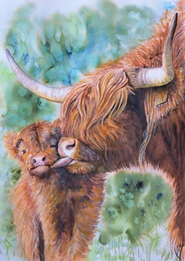 绘画 标题为“Highland cow” 由Liliya Hudry, 原创艺术品, 水彩