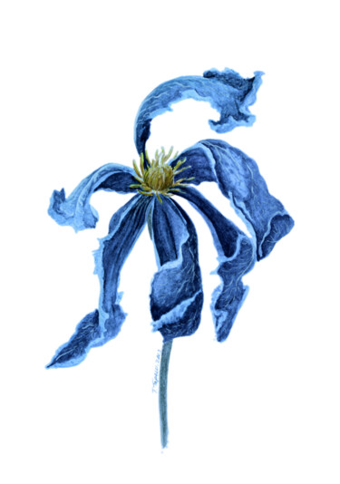"A blue lily" Painting titled ""A blue lily"" by Tetiana Teresh, Original Artwork, Watercolor