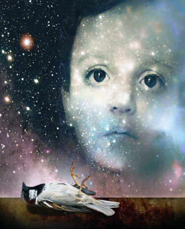 Arts numériques intitulée "Universel (l'oiseau…" par Philippe Cadet, Œuvre d'art originale, Photo montage