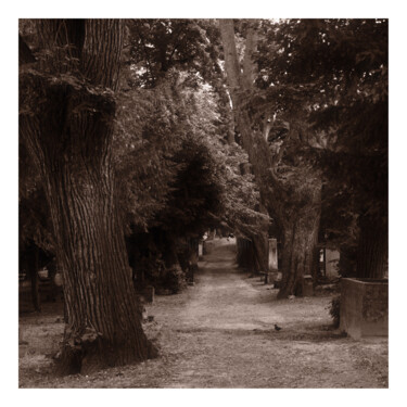 Photography titled "Graveyard in Bratis…" by Zheka Khalétsky, Original Artwork, Non Manipulated Photography