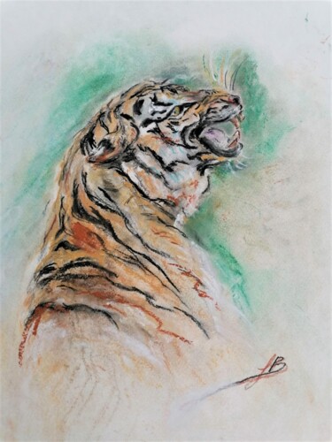 图画 标题为“LA RAGE DU TIGRE” 由Sylvie Bayle, 原创艺术品, 木炭