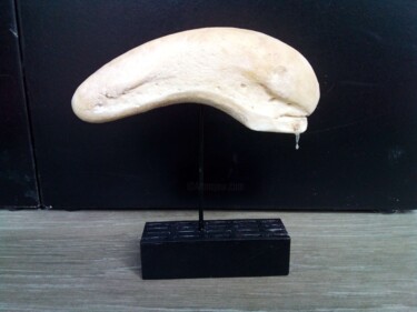 雕塑 标题为“Giger's Alien head” 由Serendipity Liche, 原创艺术品, 骨