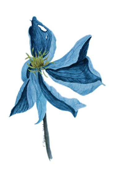 "Withering blue" Painting titled ""Withering blue"" by Tetiana Teresh, Original Artwork, Watercolor
