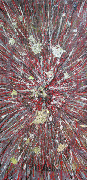 Peinture intitulée "V'nerf" par Sébastien Hauduc, Œuvre d'art originale, Acrylique Monté sur Châssis en bois
