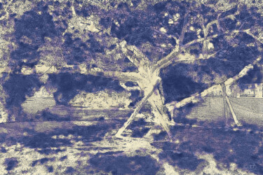 数字艺术 标题为“in a different ligh…” 由Claudio Lepri  (Clep), 原创艺术品, 操纵摄影