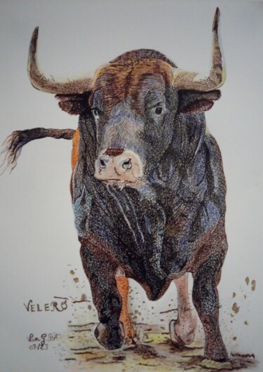 Dessin intitulée "VELERO" par Vanessa Garcia Artunedo, Œuvre d'art originale, Encre
