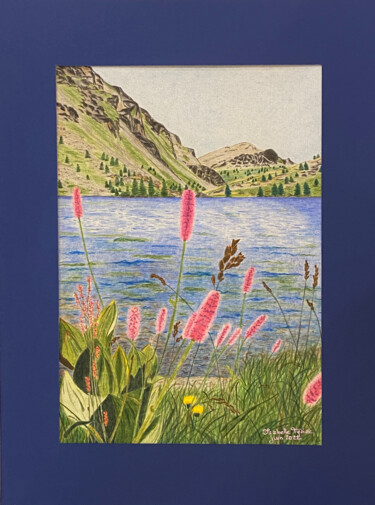 图画 标题为“Lac de Vens” 由Isabelle Tysiac, 原创艺术品, 铅笔