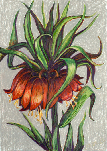 图画 标题为“Fritillaria small” 由Oksana Muzyka, 原创艺术品, 粉彩