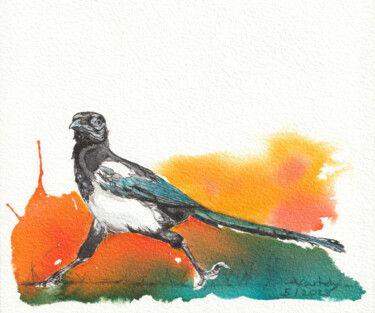 Rabenvogel 12 Elster Dibujo titulada "Rabenvogel 12 Elster" por Lilla Varhelyi, Obra de arte original, Tinta