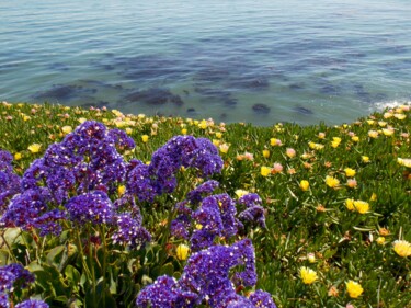 Santa Cruz Coastal Flowers Photographie intitulée "Santa Cruz Coastal…" par Troy Wilson-Ripsom, Œuvre d'art originale, Photographie numérique