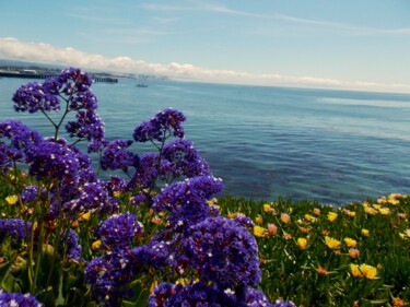 Coastal Colors in Santa Cruz Fotografie getiteld "Coastal Colors in S…" door Troy Wilson-Ripsom, Origineel Kunstwerk, Digitale fotografie