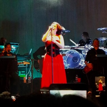 The Incomparable Amy Lee 摄影 标题为“The Incomparable Am…” 由Troy Wilson-Ripsom, 原创艺术品, 数码摄影