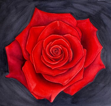 Ζωγραφική με τίτλο "Red rose on a black…" από Tina Shyfruk, Αυθεντικά έργα τέχνης, Ακουαρέλα