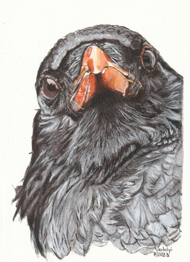Rabenvogel 17 Roofy Dibujo titulada "Rabenvogel 17 Roofy" por Lilla Varhelyi, Obra de arte original, Tinta