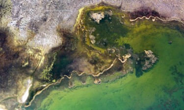 Фотография под названием "Озеро Белое, окрест…" - Дмитрий Мызников, Подлинное произведение искусства, Цифровая фотография