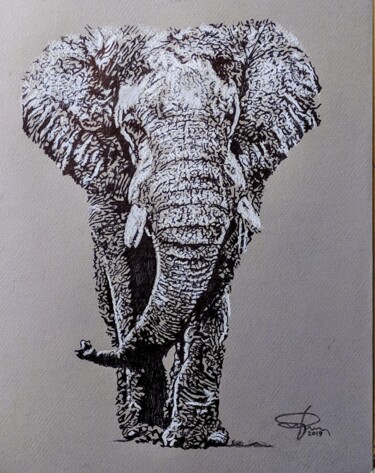 图画 标题为“Elefante” 由Pasquale Luzzo, 原创艺术品, 圆珠笔