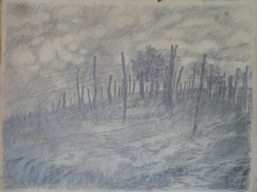 Drawing titled "vigne en hivers" by Clément Barut, Original Artwork, Pencil