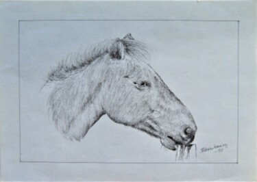 Drawing titled "Hevonen" by Ari Reinikainen, Original Artwork, Ink