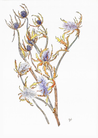Peinture intitulée "Колючка" par Marina Markina, Œuvre d'art originale, Aquarelle Monté sur Aluminium