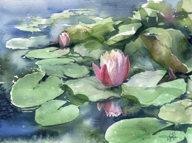 Painting titled "Waterlilies in a po…" by Svitlana Lagutina, Original Artwork, Watercolor
