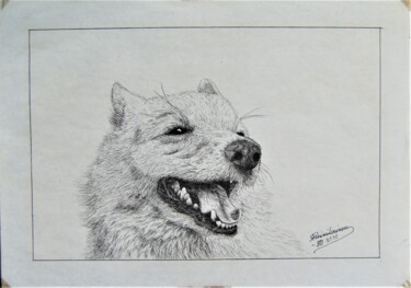 Drawing titled "Pystykorva" by Ari Reinikainen, Original Artwork, Ink