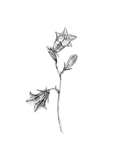 图画 标题为“Bells” 由Oksana Oleksiiva, 原创艺术品, 标记