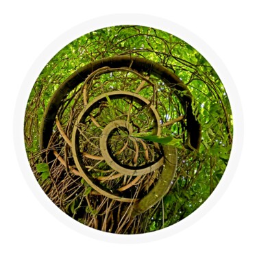 Photographie intitulée "Spirale Japonaise" par Pilato Adriana, Œuvre d'art originale, Photographie numérique