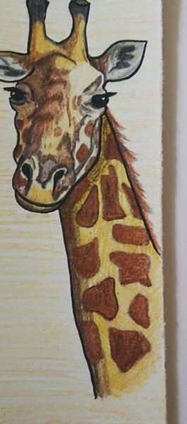图画 标题为“Douce Girafe” 由Portraits De L'Âme, 原创艺术品, 铅笔