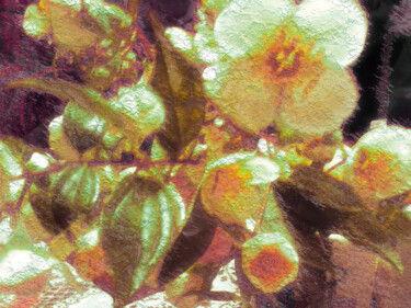 Botones 2/XL large original artwork "Botones 2/XL large…" başlıklı Dijital Sanat Javier Diaz tarafından, Orijinal sanat, Fotoşoplu fotoğrafçılık