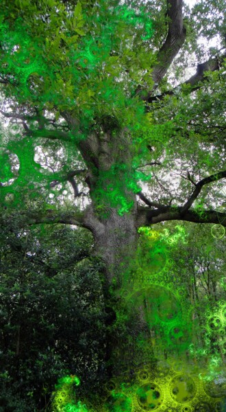 Photographie intitulée "L'arbre aux visages" par Véronique Jaques, Œuvre d'art originale, Photographie numérique