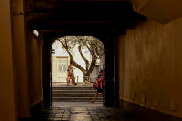 Photography titled "Oliviers" by Aurélien Comte, Original Artwork, Digital Photography