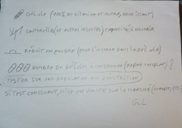 Peinture intitulée "gélules alimentaires" par Ludovic Grumel, Œuvre d'art originale, Crayon