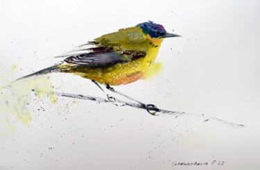 Wagtail 绘画 标题为“Wagtail” 由Eugenia Gorbacheva, 原创艺术品, 水彩