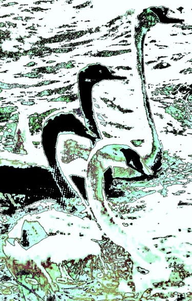 摄影 标题为“4 Swans 1c” 由Ken Lerner, 原创艺术品, 数码摄影