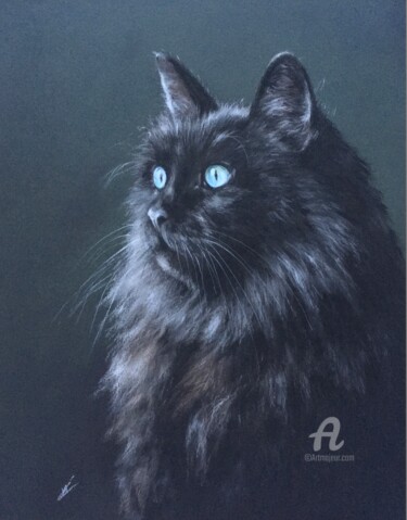 Dessin intitulée "Cat-model" par Irene_art, Œuvre d'art originale, Pastel