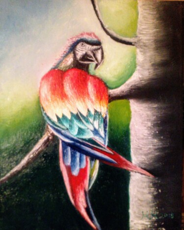 Peinture intitulée "Rainbow parrot" par Marija Mitrovic, Œuvre d'art originale, Huile
