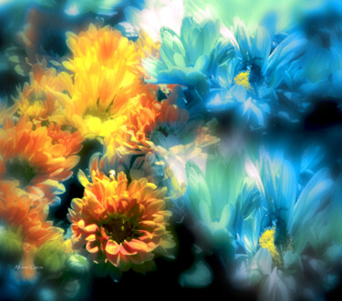 Colores de Flores Photographie intitulée "Colores de Flores" par Alfonso García, Œuvre d'art originale, Photographie numérique