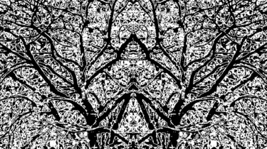 Snow on a Tree 1d9d Photography titled "Snow on a Tree 1d9d" by Ken Lerner, Original Artwork, Digital Photography