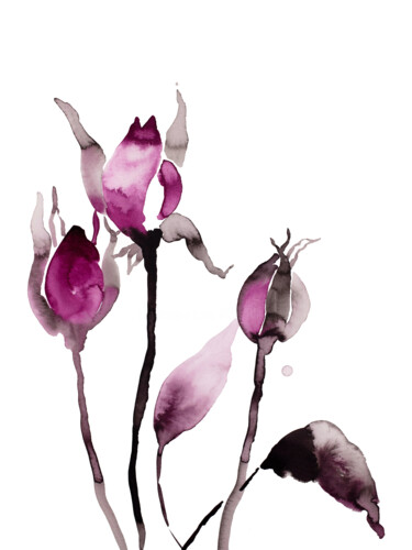 Rose Study No. 63 绘画 标题为“Rose Study No. 63” 由Elizabeth Becker, 原创艺术品, 水彩