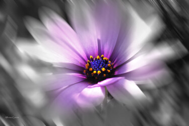 数字艺术 标题为“Floral 1” 由Alfonso García, 原创艺术品, 数码摄影