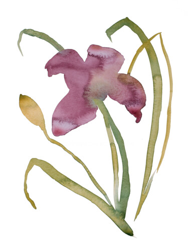 Lily No. 16 "Lily No. 16" başlıklı Tablo Elizabeth Becker tarafından, Orijinal sanat, Suluboya