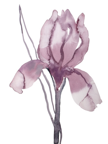 Painting titled "Iris No. 193" by Elizabeth Becker, Original Artwork, Watercolor