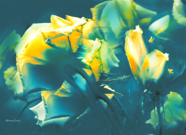 Photographie intitulée "Brillos Azules" par Alfonso García, Œuvre d'art originale, Photographie numérique