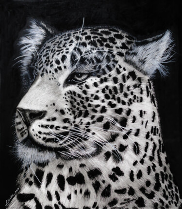 图画 标题为“Javan Leopard Portr…” 由Lynton Bolton, 原创艺术品, 木炭