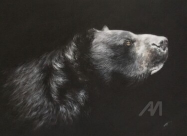 Bad Bear 图画 标题为“Bad Bear” 由Irene_art, 原创艺术品, 粉彩