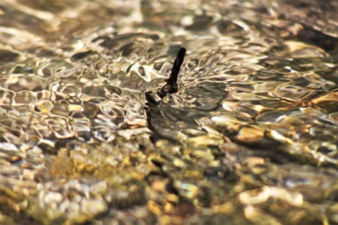 Photographie intitulée "Enlisement" par Marie Marlène Mahalatchimy, Œuvre d'art originale, Photographie non manipulée