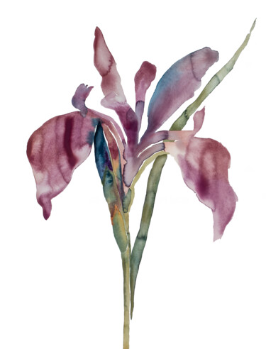 绘画 标题为“Iris No. 194” 由Elizabeth Becker, 原创艺术品, 水彩