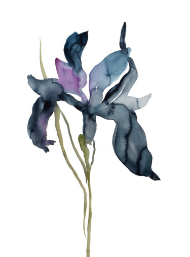 绘画 标题为“Iris No. 195” 由Elizabeth Becker, 原创艺术品, 水彩